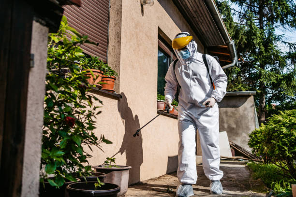 Best Emergency Pest Control  in , CT