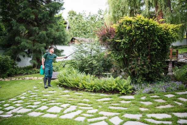 Best Wasp Removal Services  in , CT