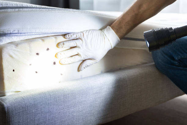Best Wildlife Control Services  in , CT